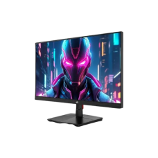Titan Army P2511G Plus 24.5 Inch 215Hz 1ms Full HD Fast IPS Monitor